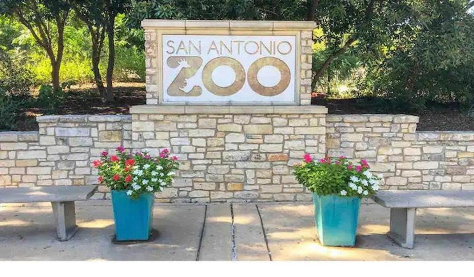 Private Hot Tub3Bd2Ba 2 Miles To Sa River Walk San Antonio Kültér fotó